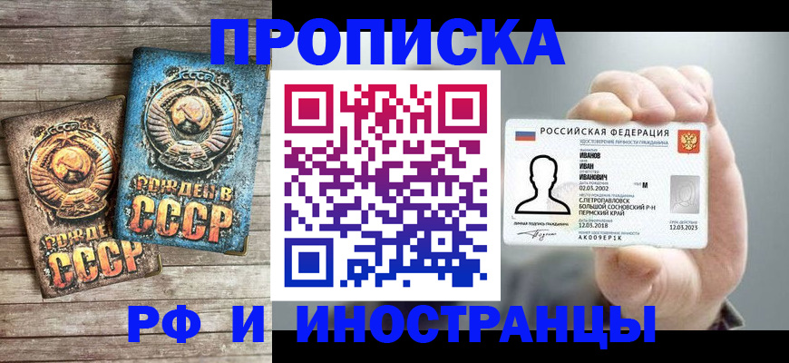 где прописаться в Сертолово